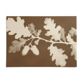 Tea Toned Oak Leaves Print, shown as an unframed paper print on a plain white background