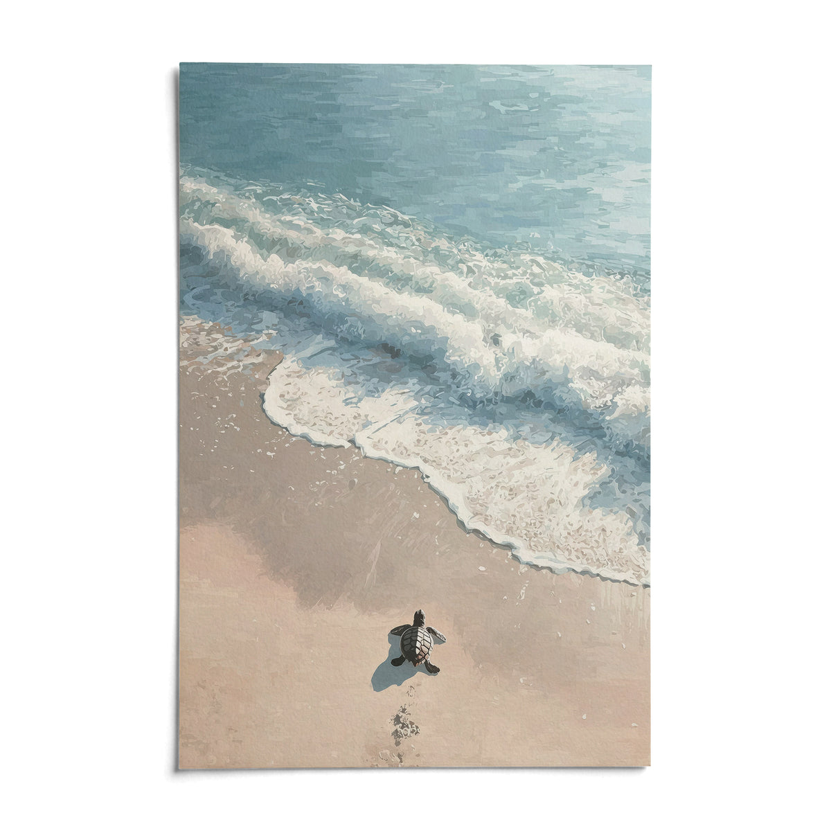 Turtle Print, shown as an unframed paper print on a plain white background
