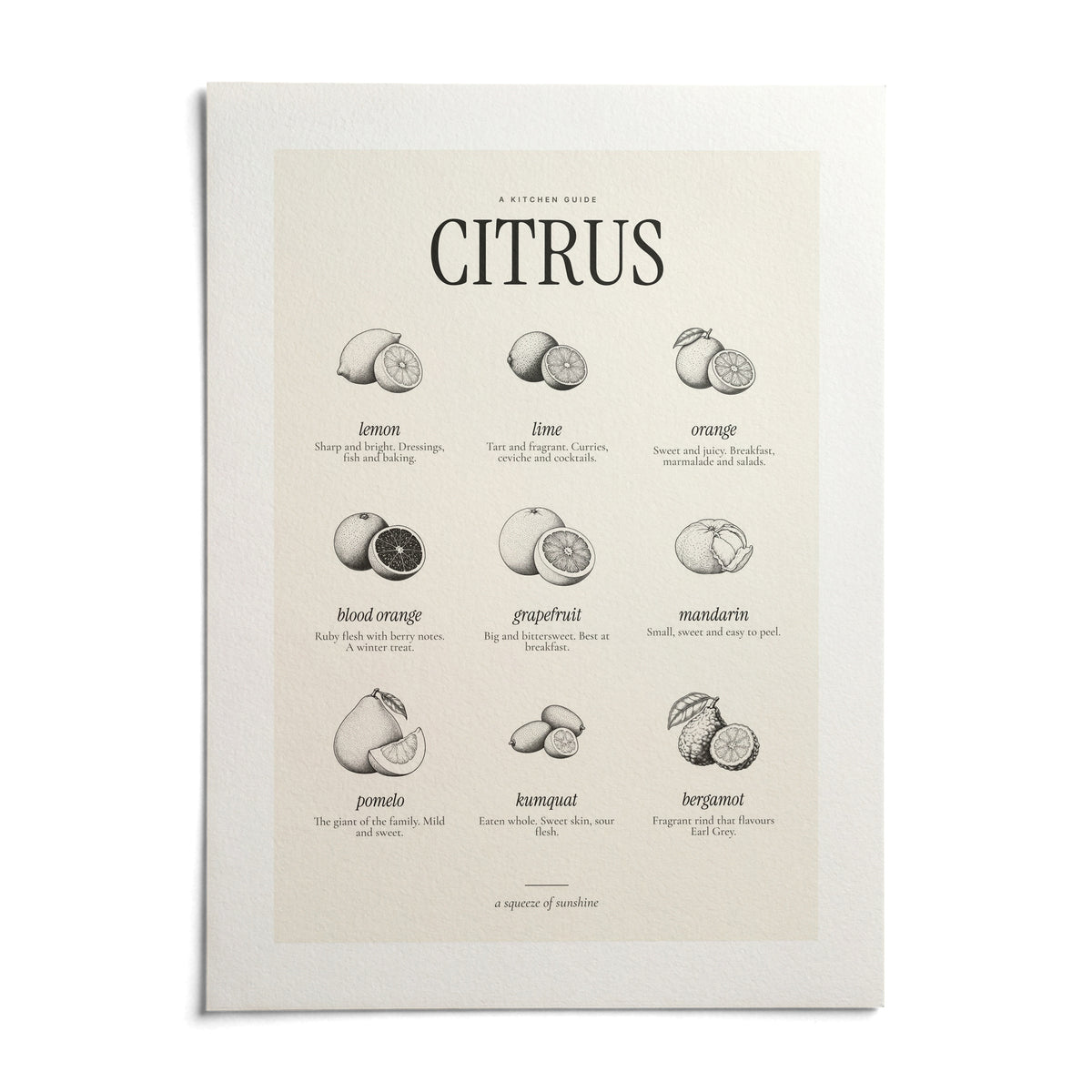 Types of Citrus Print, shown as an unframed paper print on a plain white background