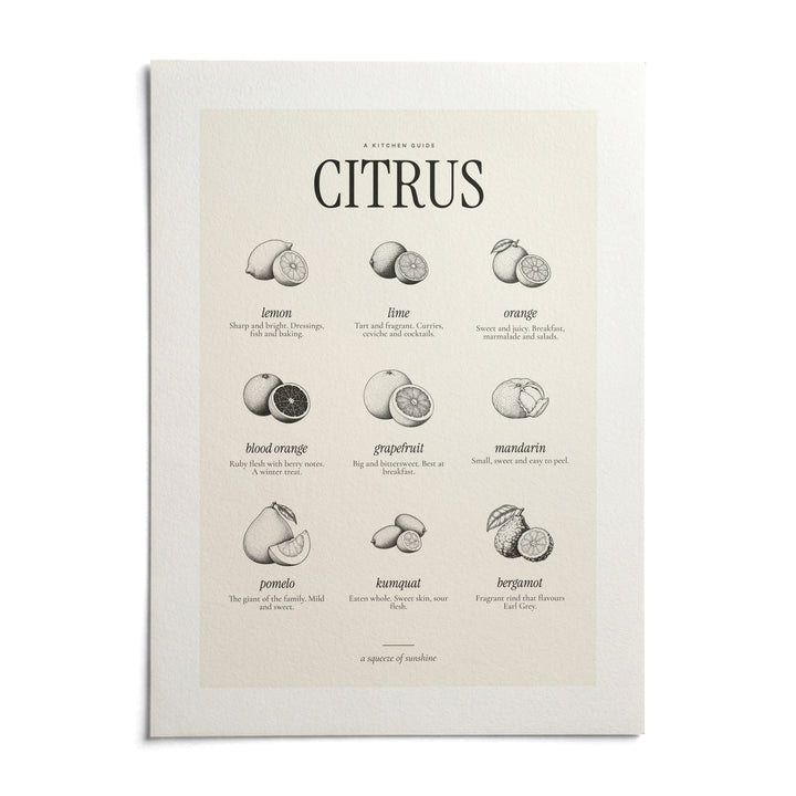 Types of Citrus Print, shown as an unframed paper print on a plain white background