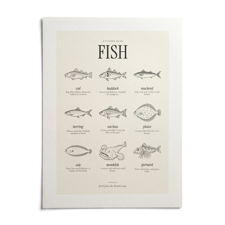 Types of Fish Print, shown as an unframed paper print on a plain white background