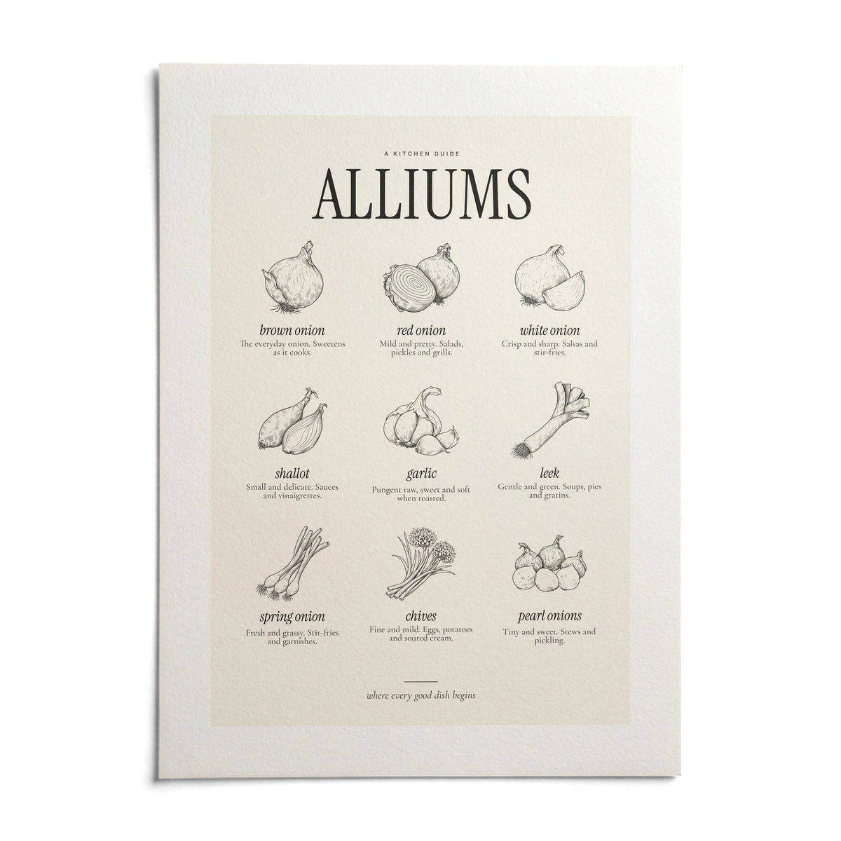Types of Onions Print, shown as an unframed paper print on a plain white background