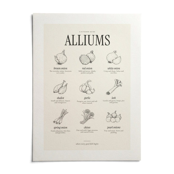 Types of Onions Print, shown as an unframed paper print on a plain white background