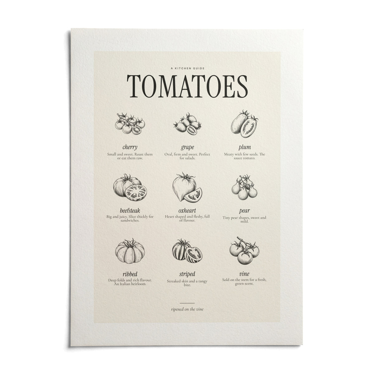 Types of Tomatoes Print, shown as an unframed paper print on a plain white background