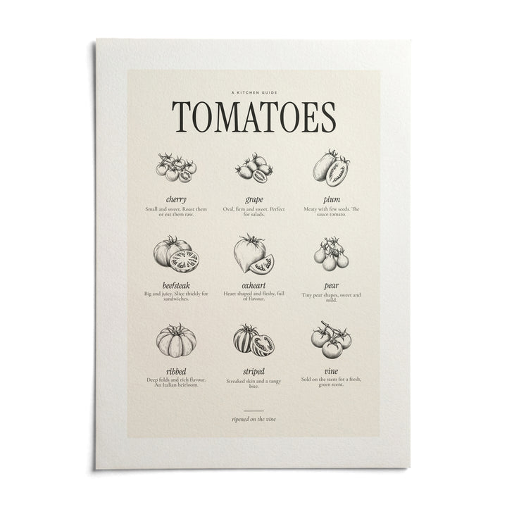 Types of Tomatoes Print, shown as an unframed paper print on a plain white background