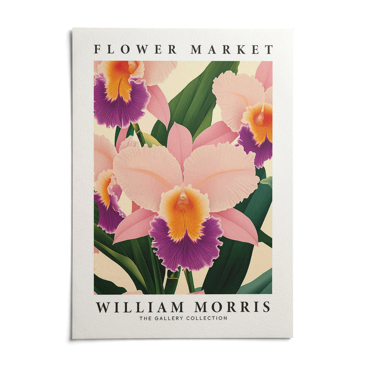 Wall Art Orchids, shown as an unframed paper print on a plain white background