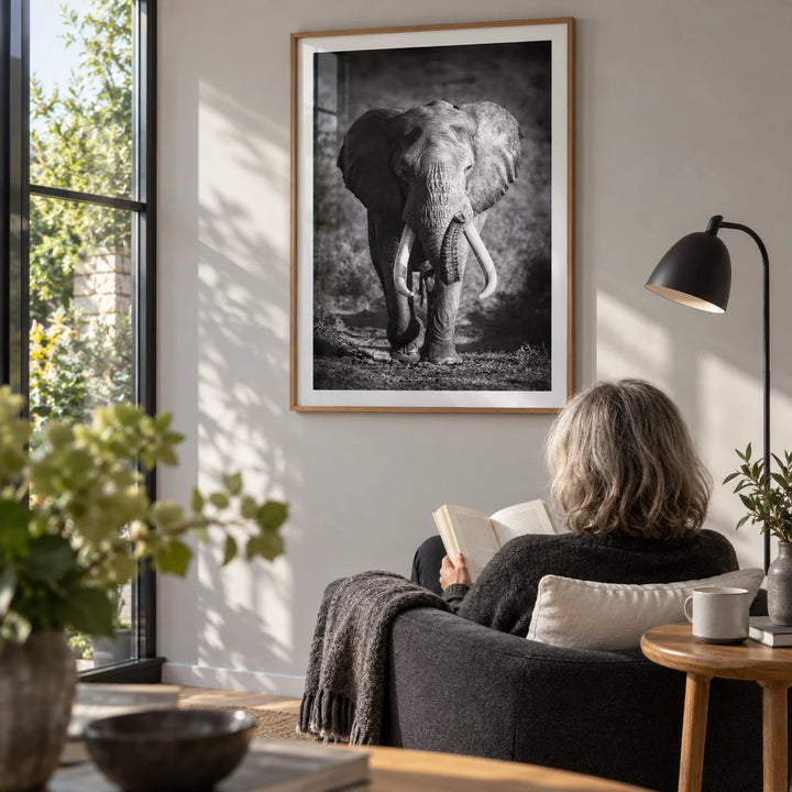 Wildlife Photography Art, framed on the wall of a light-filled reading corner beside a garden window in a mature couple's UK home in a living room