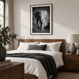 Wildlife Photography Art, framed on the wall of a restful adult bedroom with a chalk-white wall and warm walnut furniture