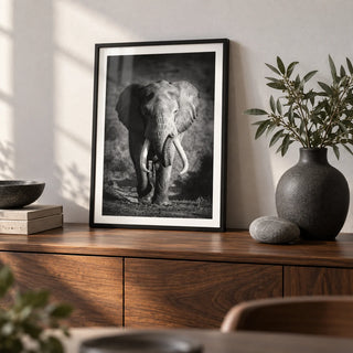 Wildlife Photography Art, a small A4 framed print leaning on a walnut sideboard in a living room