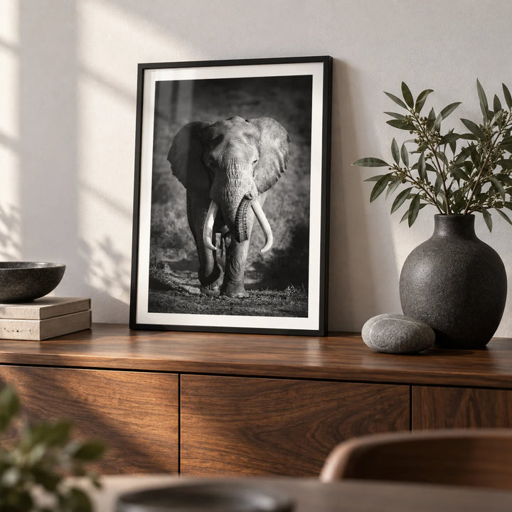 Wildlife Photography Art, a small A4 framed print leaning on a walnut sideboard in a living room
