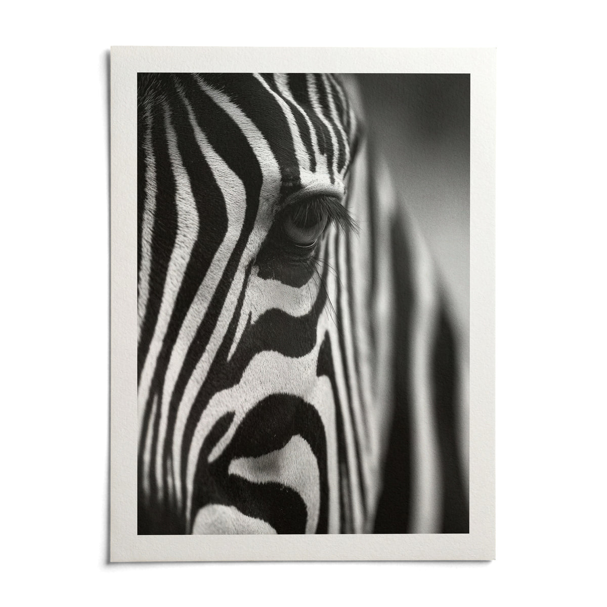 Wildlife Photography Poster, shown as an unframed paper print on a plain white background
