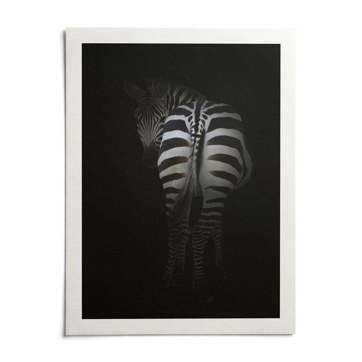 Zebra Art Print, shown as an unframed paper print on a plain white background