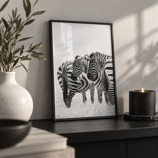 Zebra Wall Art, a small A4 framed print leaning on a black shelf in a living room