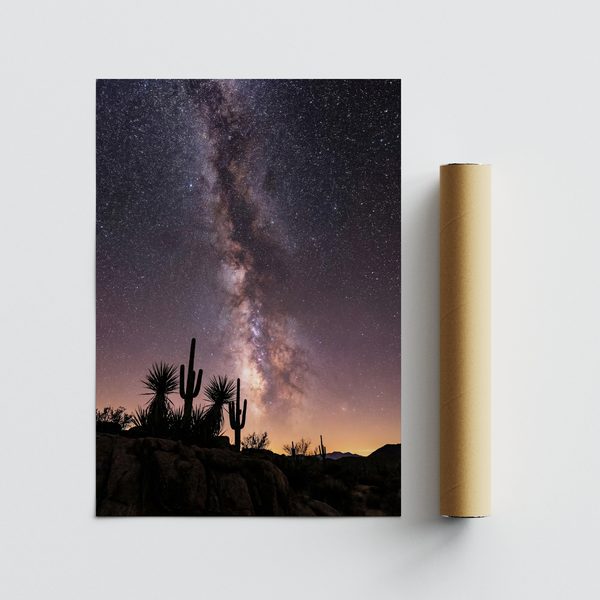 Cactus Night Print featuring Black, Pink, Purple, Yellow hues for modern living room wall