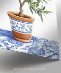 Illustration botanique représentant un olivier sur fond blanc avec un pot en céramique classique.