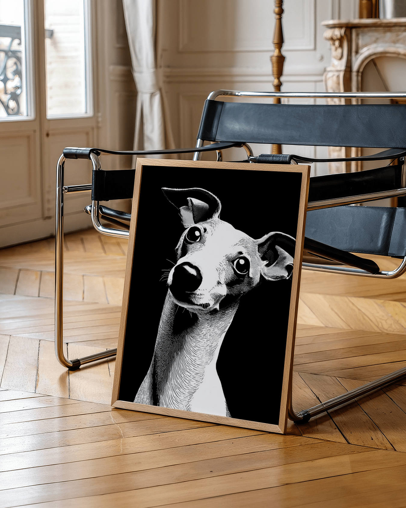 Art canin Whippet