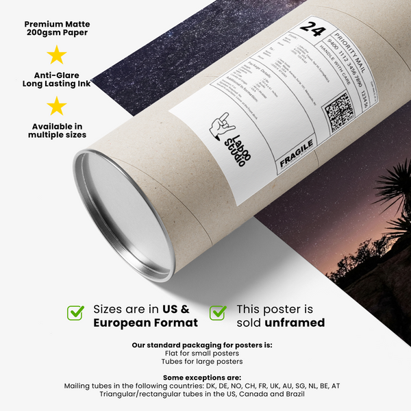 Cactus Night Print minimalist wall art in Black, Pink, Purple, Yellow for reading nook